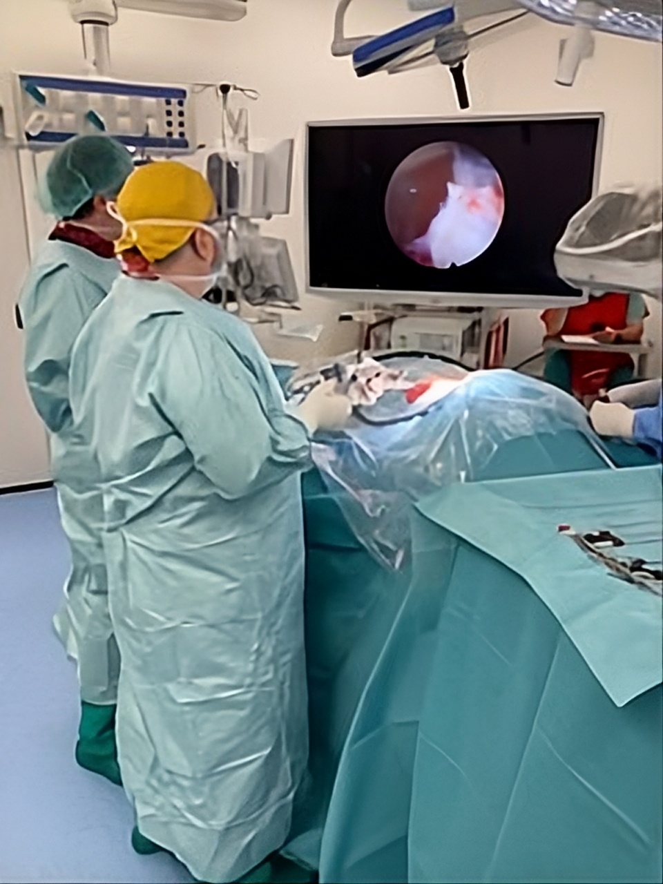 Cirurgia endoscòpica de columna